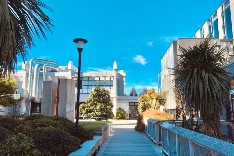 Best Universities In New Zealand For International Students