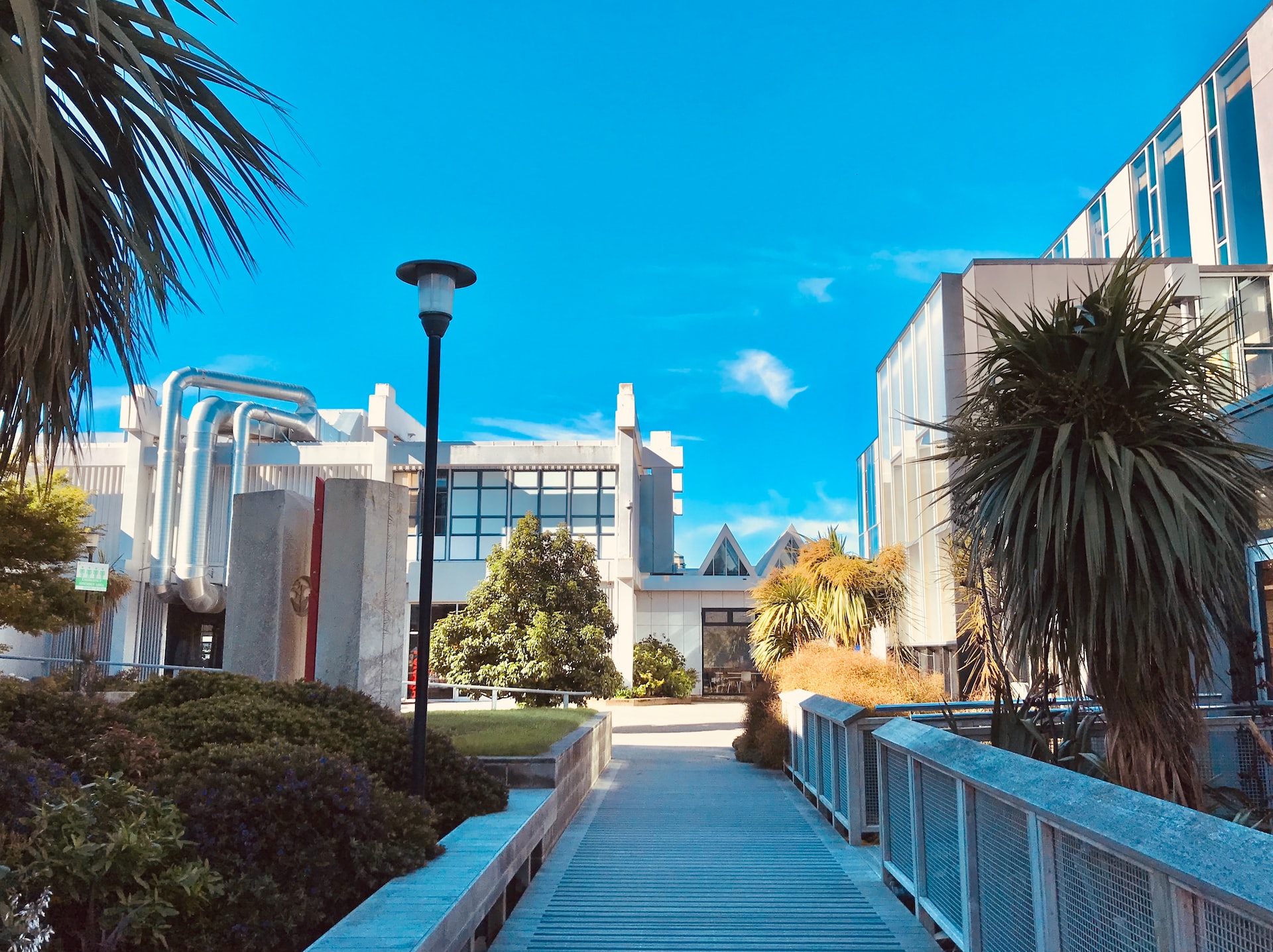 Best Universities In New Zealand For International Students